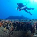 Relitti. Le foto in mostra alla Vedetta sul Mediterraneo