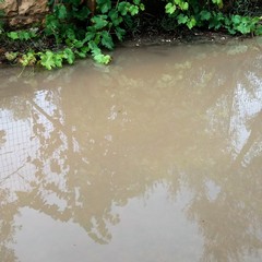 L'acqua invade la strada per il Padre Eterno