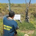 Il sequestro del Corpo Forestale dello Stato