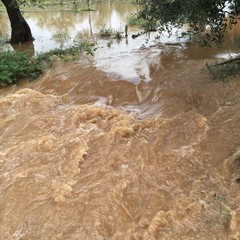 L'acqua ha inondato le campagne