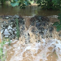 L'acqua ha inondato le campagne