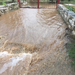 L'acqua ha inondato le campagne