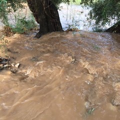 L'acqua ha inondato le campagne