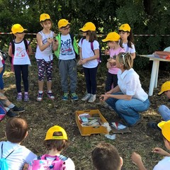 Tutti a lezione di archeologia