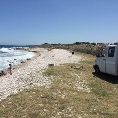 La pulizia del litorale di Giovinazzo