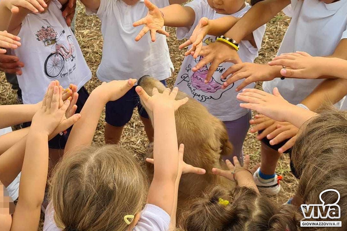 Pet Education, le “prof” a quattro zampe insegnano le emozioni ai bambini  di Giovinazzo