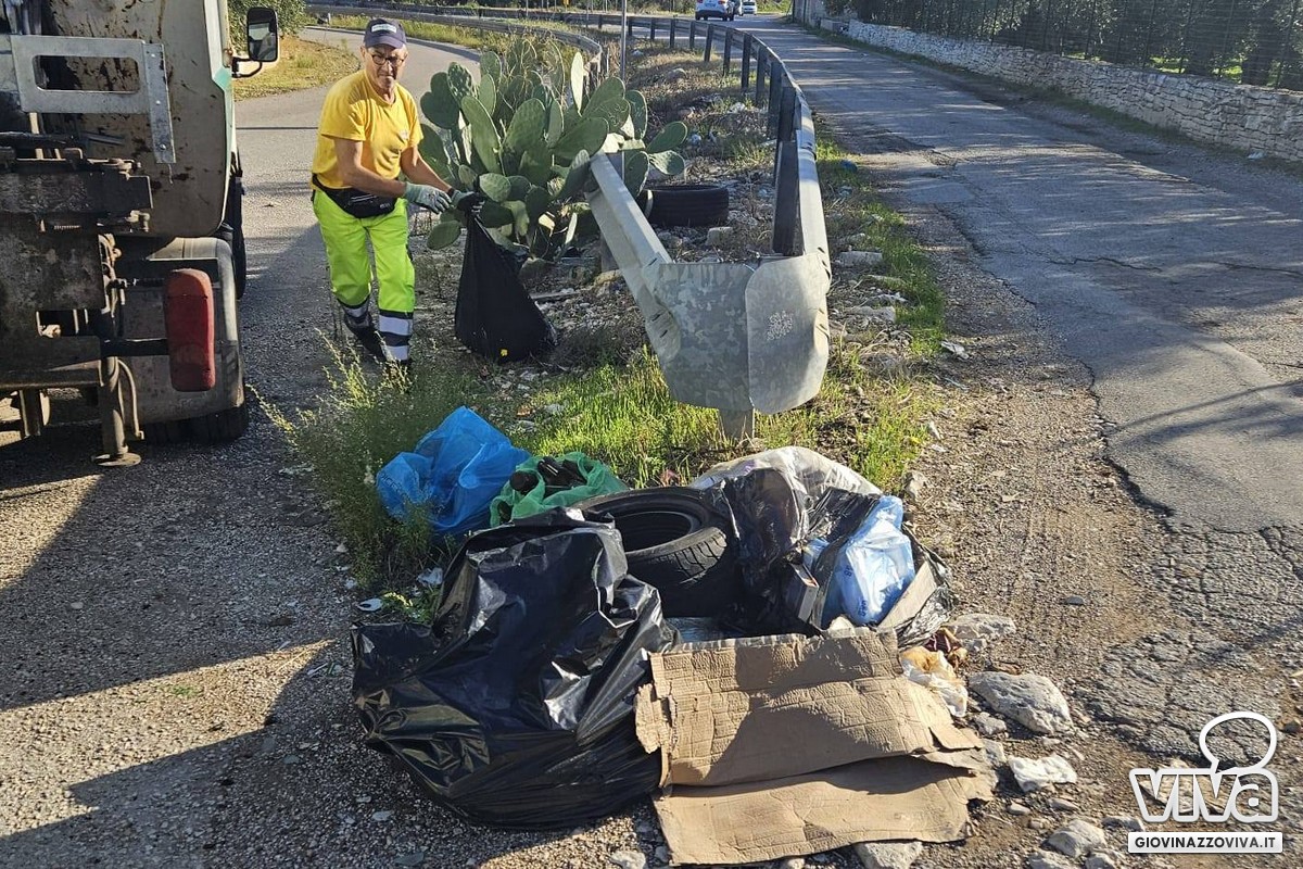 Pulizia dell'agro