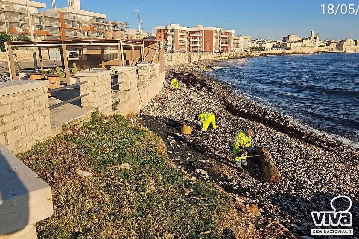 Pulizia spiagge 2026