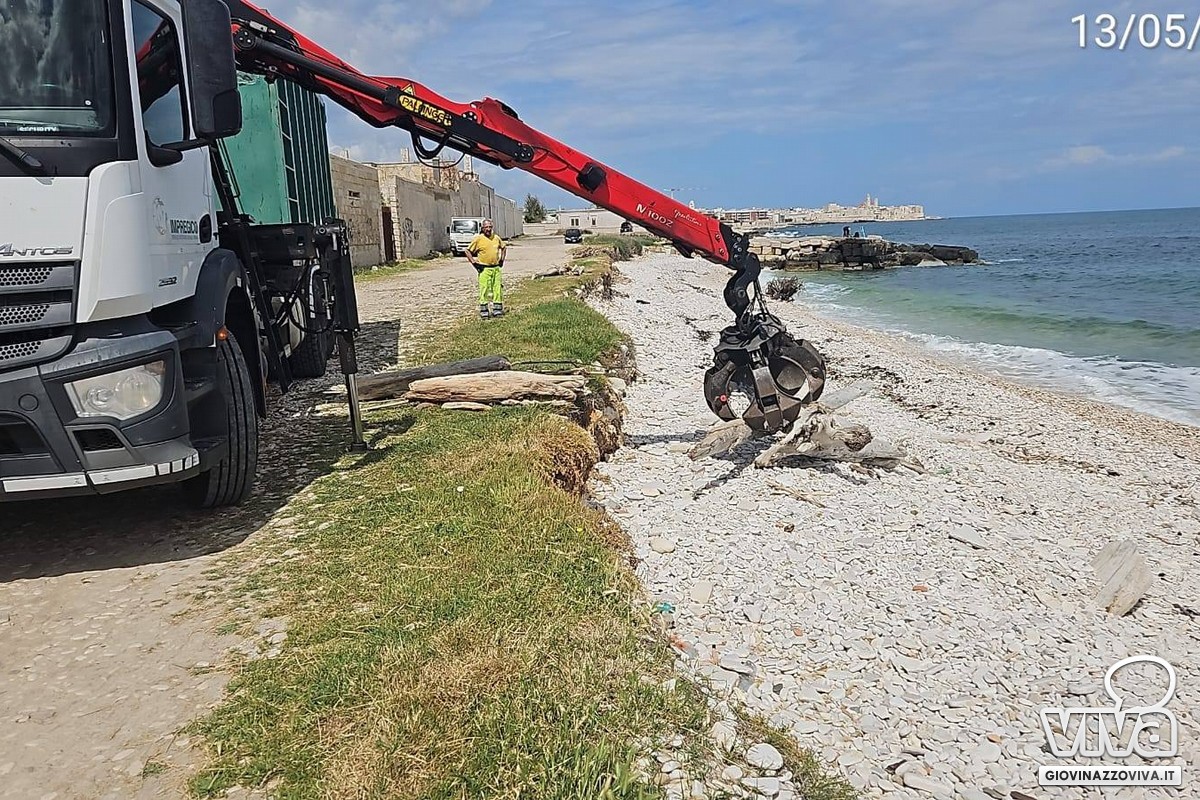 Pulizia spiagge 2026