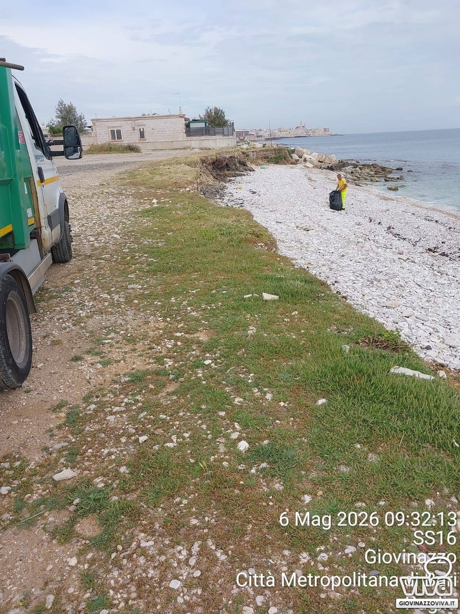 Pulizia spiagge 2026