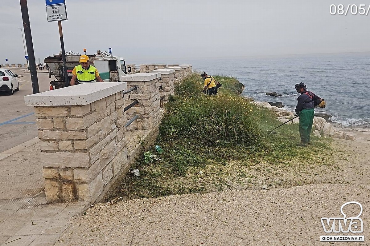 Pulizia spiagge 2026