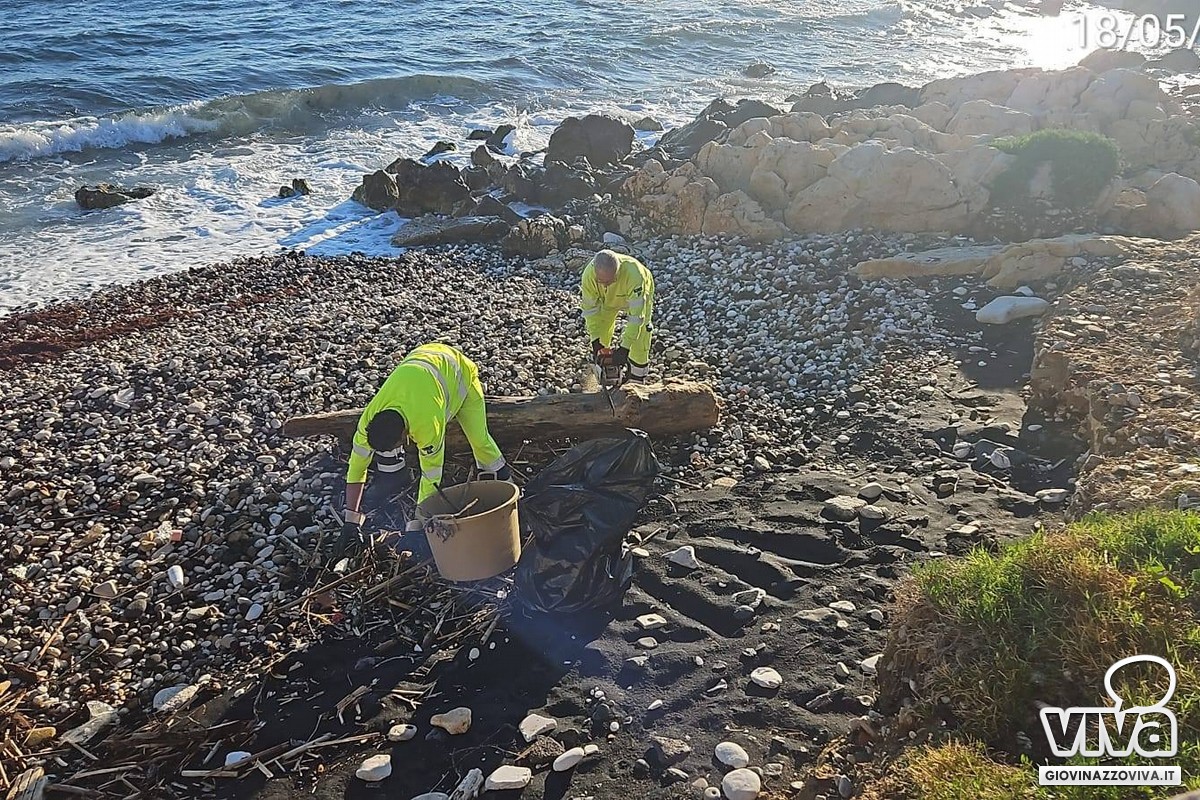 Pulizia spiagge 2026