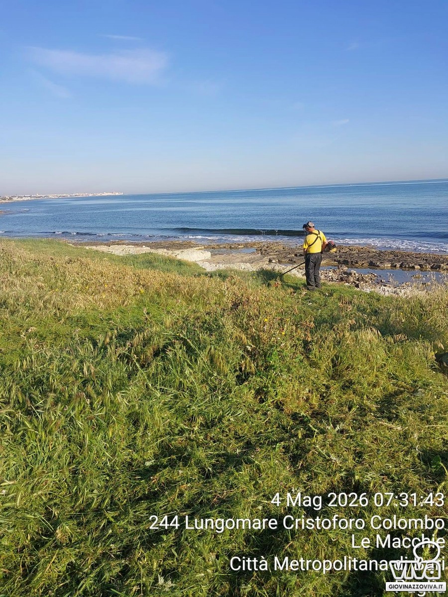 Pulizia spiagge 2026