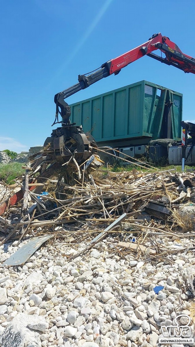 Pulizia spiagge 2026