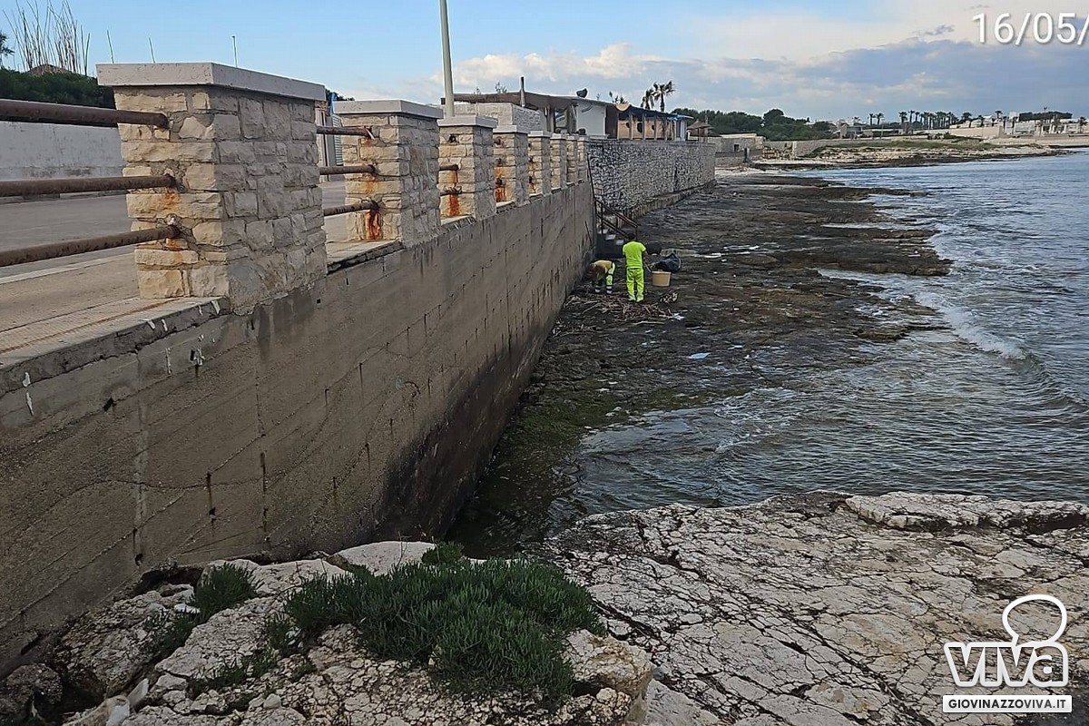 Pulizia spiagge 2026