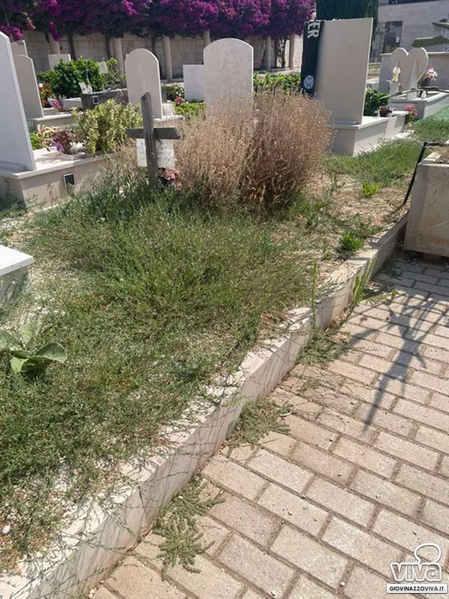 Erbacce infestanti e sterpaglie nel cimitero comunale