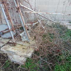 Discarica al De Pergola. Anche i camion della Del Fiume