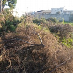 Discarica al De Pergola. Anche i camion della Del Fiume