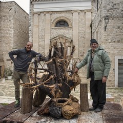 Fuochi di Sant'Antonio Abate 2025