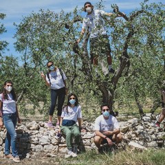 Contrada Sant'Antonio a Giovinazzo ripulita dai volontari di 2hands