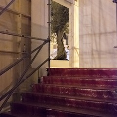 Papa a Molfetta: le foto del 19 e 20 aprile 2018