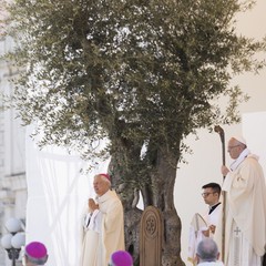 Papa a Molfetta: le foto del 19 e 20 aprile 2018