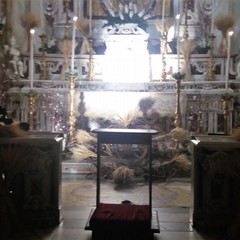 Concattedrale