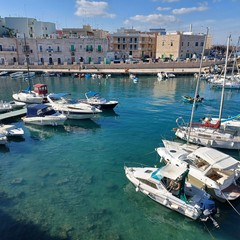 Giovinazzo ottobre 2024