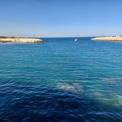 Giovinazzo ottobre 2024