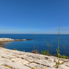 Giovinazzo ottobre 2024