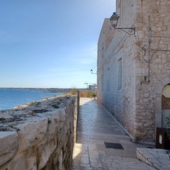 Giovinazzo ottobre 2024