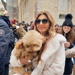 Benedizione animali 2026