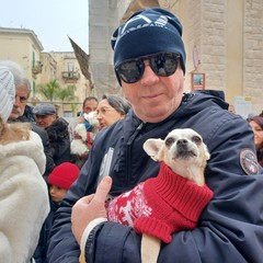 Benedizione animali 2026