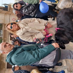 Benedizione animali 2026