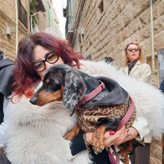 Benedizione animali 2026