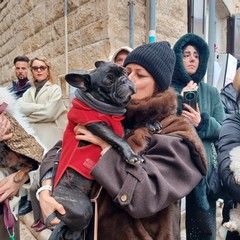 Benedizione animali 2026