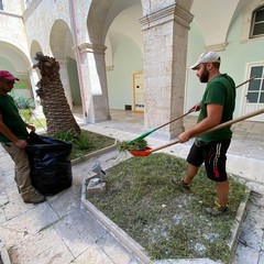 Pulizia strade e manutenzione verde