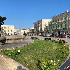 Pulizia strade e manutenzione verde