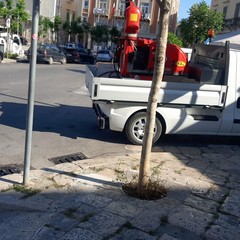 Interventi comunali