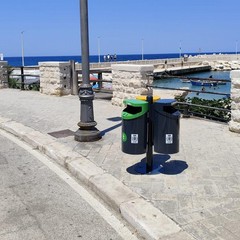 Interventi comunali