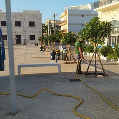 Lavori manutenzione Giovinazzo