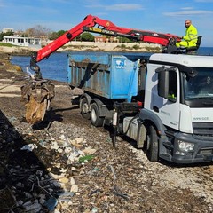 Pulizia foce Lama Castello