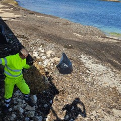 Pulizia foce Lama Castello