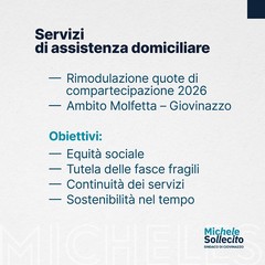 Il sunto in quadri proposto dal Sindaco