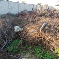 Discarica al De Pergola. Anche i camion della Del Fiume