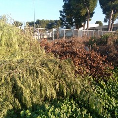 Discarica al De Pergola. Anche i camion della Del Fiume