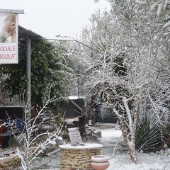 La Fattoria "Lena Lauriola" imbiancata