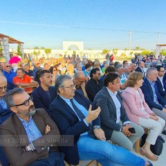 La cicoria puntarelle molfettese, eccellenza del territorio, pronta per il marchio IGP