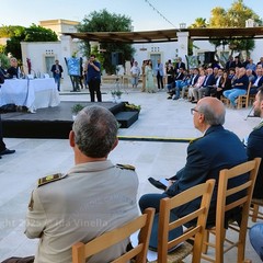 La cicoria puntarelle molfettese, eccellenza del territorio, pronta per il marchio IGP