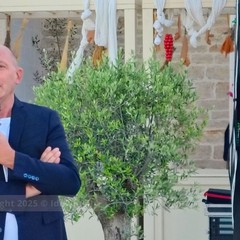 La cicoria puntarelle molfettese, eccellenza del territorio, pronta per il marchio IGP